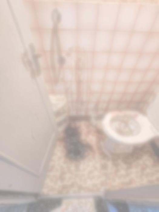 Sanitaires avant nettoyage et désinfection après décès avec importantes souillures biologiques