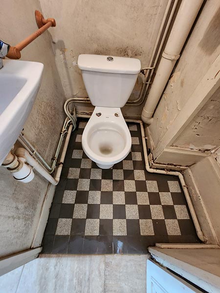 Toilettes nettoyées après une intervention dans un logement touché par le syndrome de Diogène
